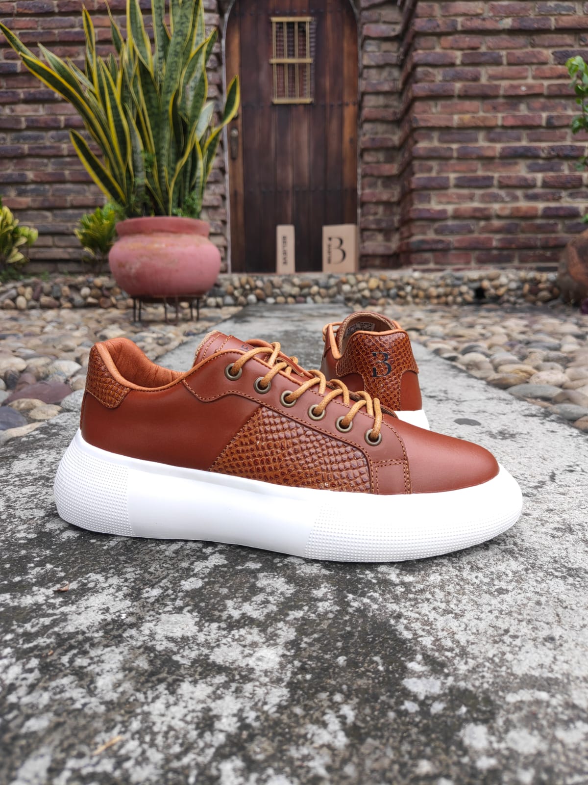 👟 ELEVA TU ESTILO. CAMINA CON ACTITUD. 🔥
