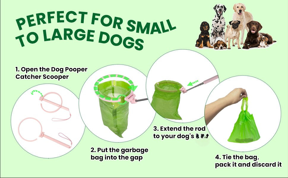 🐶 ¡TU PERRO HACE 💩… Y TÚ NO LO TOCAS! 🚫🙌