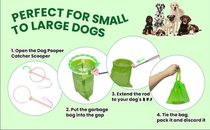 🐶 ¡TU PERRO HACE 💩… Y TÚ NO LO TOCAS! 🚫🙌