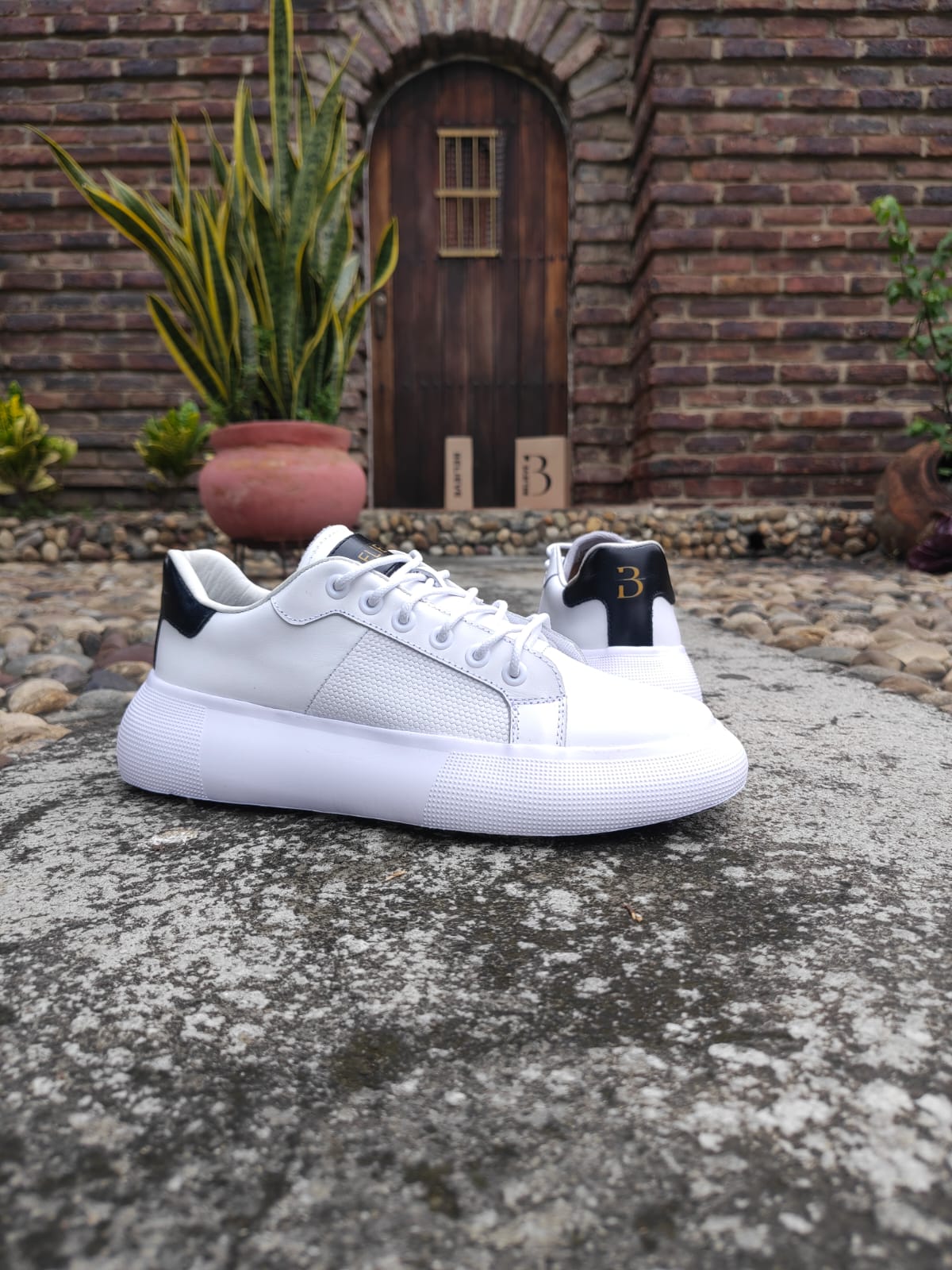 👟 ELEVA TU ESTILO. CAMINA CON ACTITUD. 🔥
